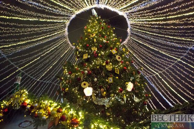 Роспотребнадзор рекомендовал гражданам провести новогодние праздники в России