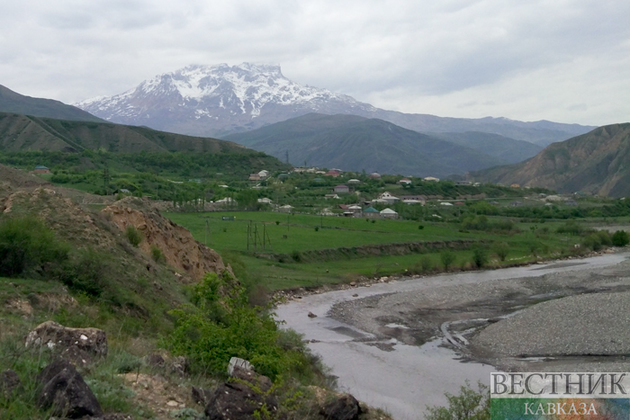 Отрождение саранчи началось в Дагестане