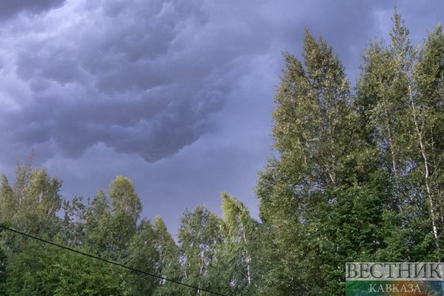 Жителей Ставрополья предупредили о дожде, грозе и шквалистом ветре