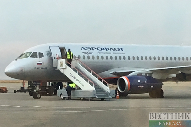 Самолет из Москвы в Сочи прилетел без багажа его пассажиров