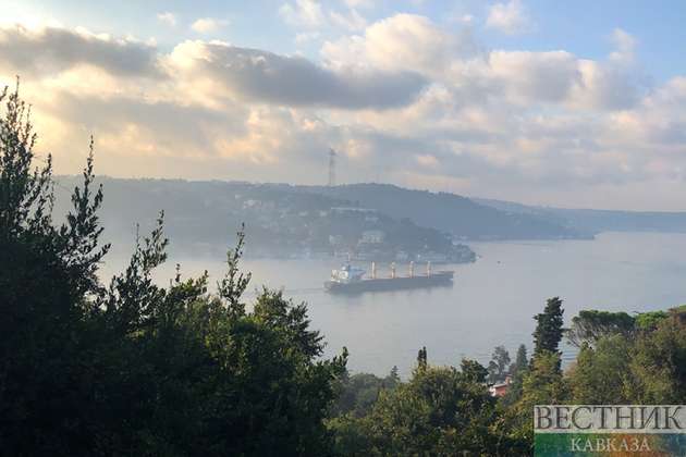 Турция завершила досмотр судна под флагом Барбадоса в Стамбуле