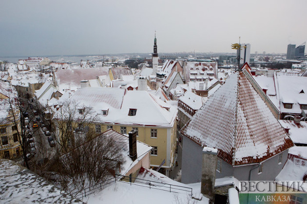 "Зимой Европа станет смертельной ловушкой": в сети отреагировали на слова премьера Эстонии о России