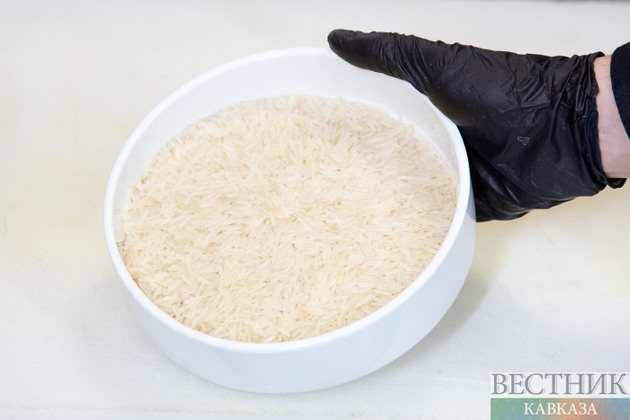 Дагестан в числе первых начал уборку риса