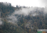 Махачкалинские пожарные тушат заповедный Эльтавский лес 