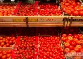 Ставрополье примет фестиваль томатов