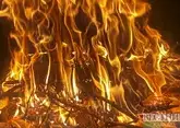 В Астраханском заповеднике бушует природный пожар