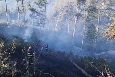 Режим ЧС введен в восьми регионах России в связи с лесными пожарами
