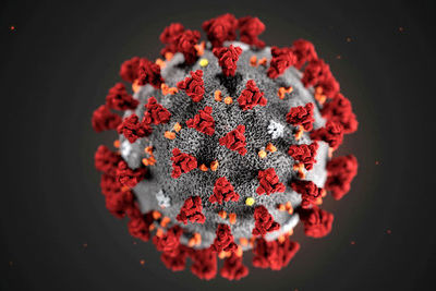 В Иране число заразившихся коронавирусом увеличилось до 139 человек