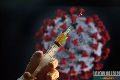 В штате Нью-Йорк коронавирус унес еще 232 жизни 