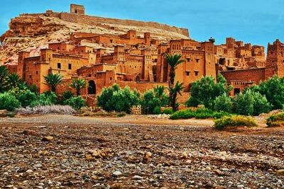 Марокко открывает границы для российских туристов - СМИ