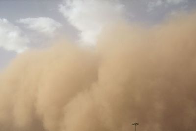 Пыльная буря заставила посадить самолет посреди степи (ВИДЕО)