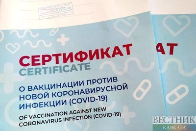 Власти Грузии и Украины признали сертификаты о вакцинации