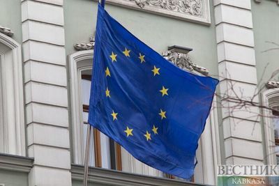 Евросоюз призвал Грузию соблюдать верховенство закона после ареста Саакашвили