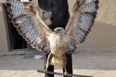 Житель Узбекистана спас дикую птицу
