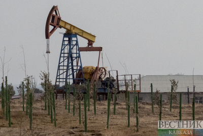 СМИ: США осенью планируют закупить в резерв 60 млн баррелей нефти