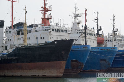 Украинские порты покинули еще 13 судов с зерном