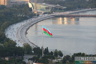Президент Азербайджана принял министра по делам правительства ОАЭ