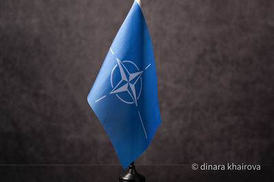 Глава Минобороны Финляндии едет в Турцию обсуждать присоединение к НАТО